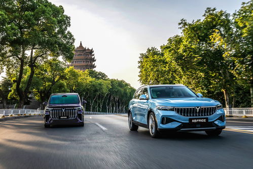 嵐圖汽車 人事結構優化促銷量增長，7月市場表現亮眼